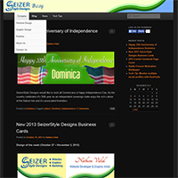 SeizerStyle Designs November 2013 Blog Redesign