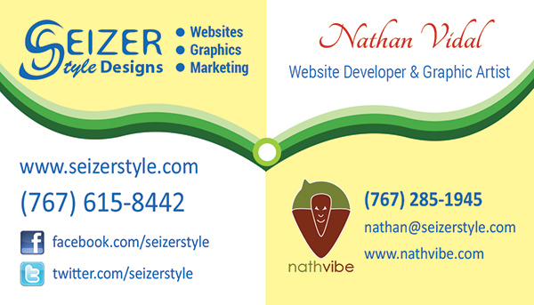 New 2013 SeizerStyle Designs Business Cards