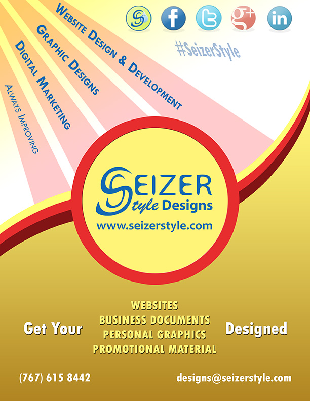 2014 SeizerStyle Designs Summer Poster