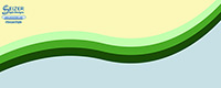 SeizerStyle Designs “Green Band” Twitter background
