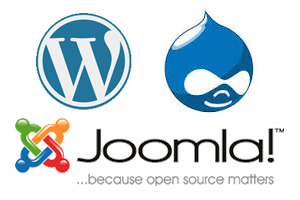 Web Design CMS
